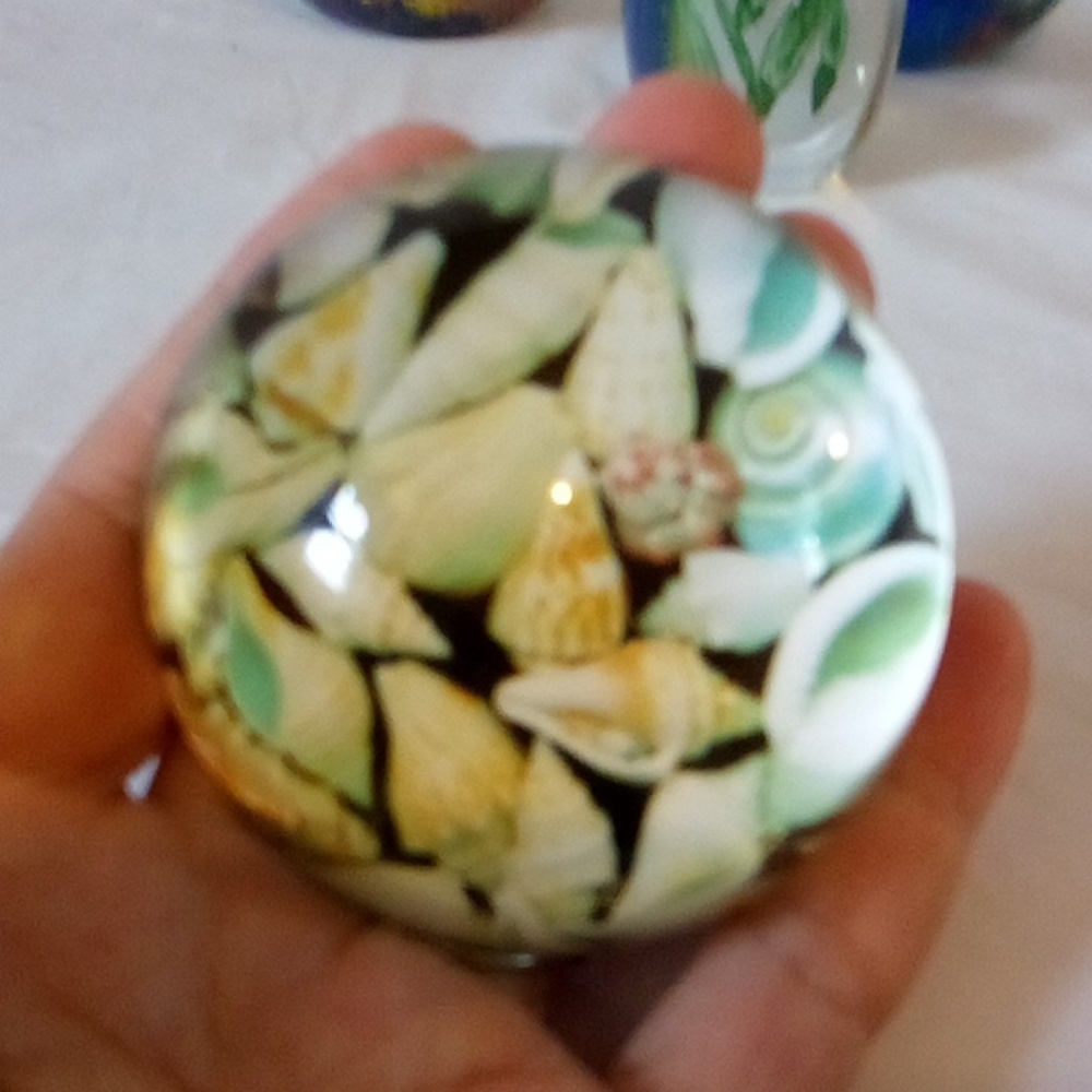 Glass nautical paperweights vintage shells, anemone, sea grass & reef - Picture 3 of 8